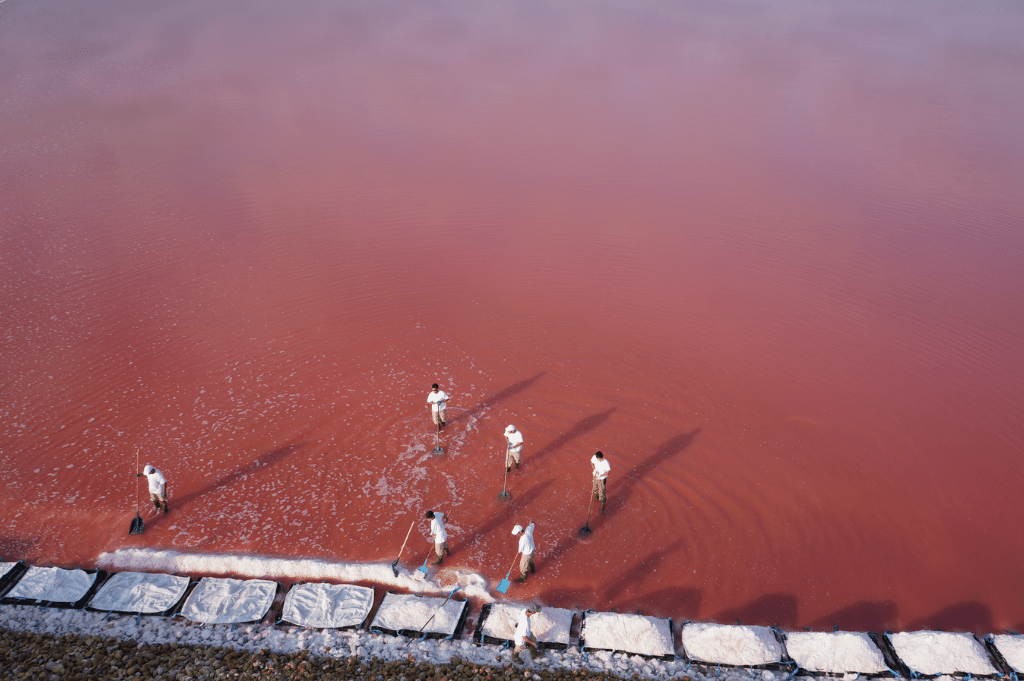 Het verhaal achter fleur de sel 'De RollsRoyce onder de zeezouten'